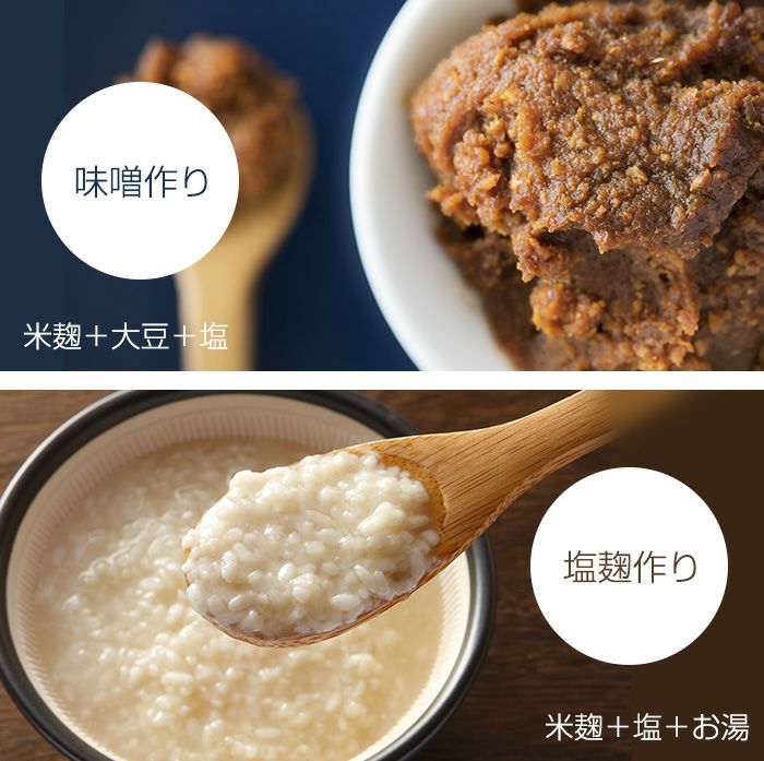 生米麹（こめこうじ） 生冷凍 ５合（約800ｇ）袋入り 国産銘柄米使用☆塩麹・甘酒・味噌づくりに☆【A1102】 | 湯浅醤油・金山寺味噌・生米麹の 丸新本家